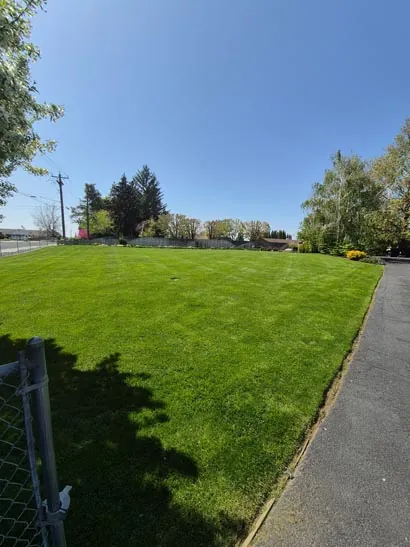 Neatly edged lawn along a sidewalk in Moses Lake, WA