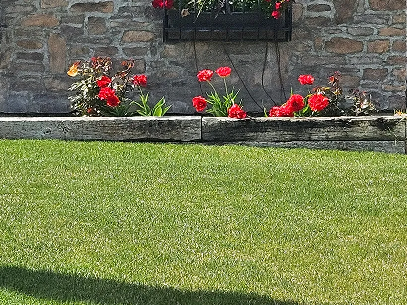 Green lawn with red flowers in a stone planter in Moses Lake, WA