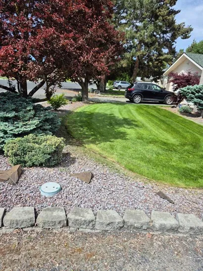 Front yard with decorative rock, shrubs and a red maple in Moses Lake, WA