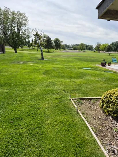 Striped lawn beside a mulched landscape bed in Moses Lake, WA