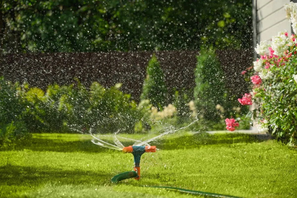 Sprinkler watering a garden lawn - sprinkler system vs manual watering