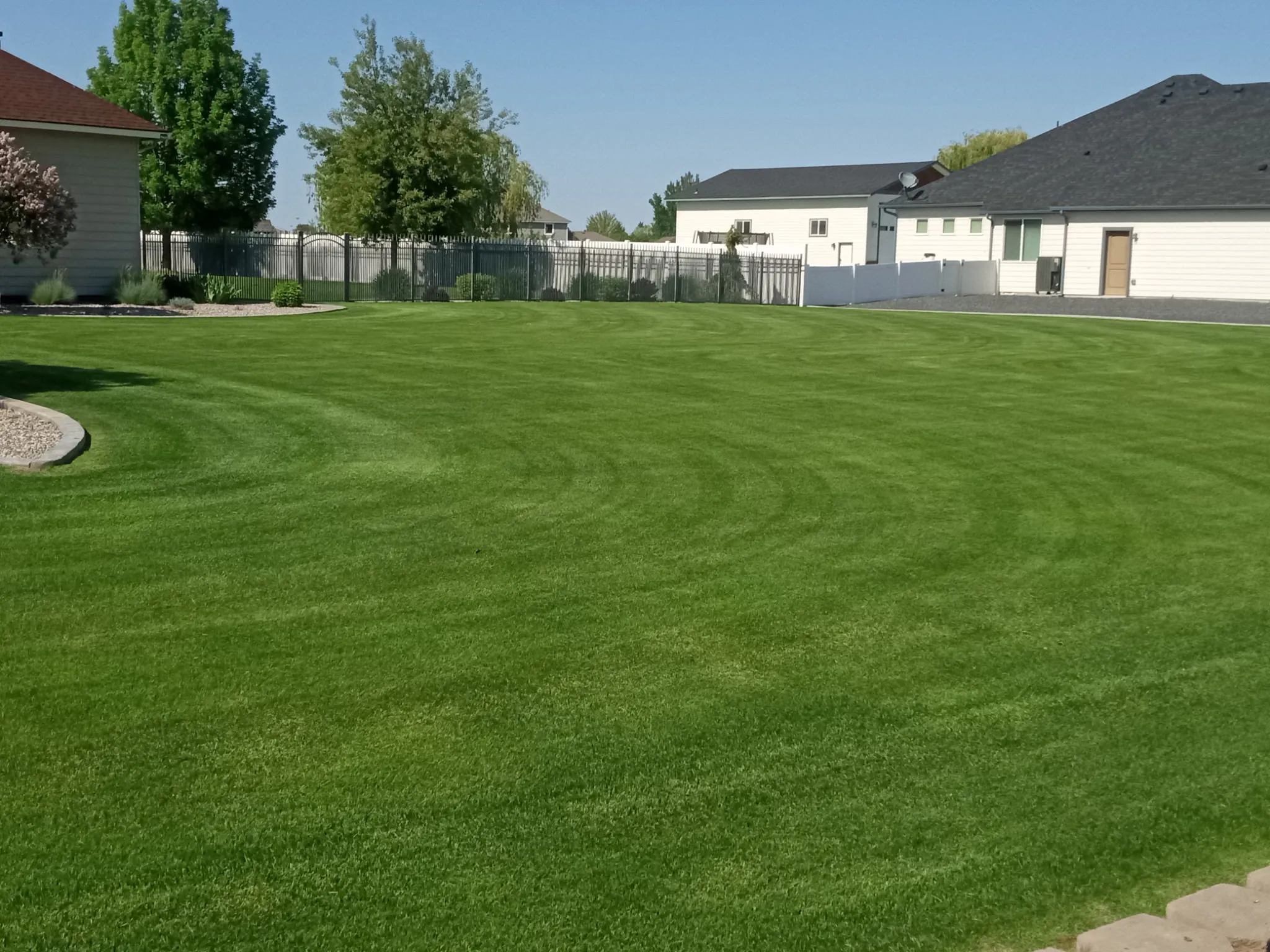Weed-free striped lawn in a Moses Lake, WA neighborhood